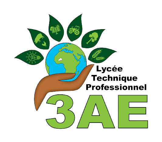 LPTP3AE LPTP3AE logo